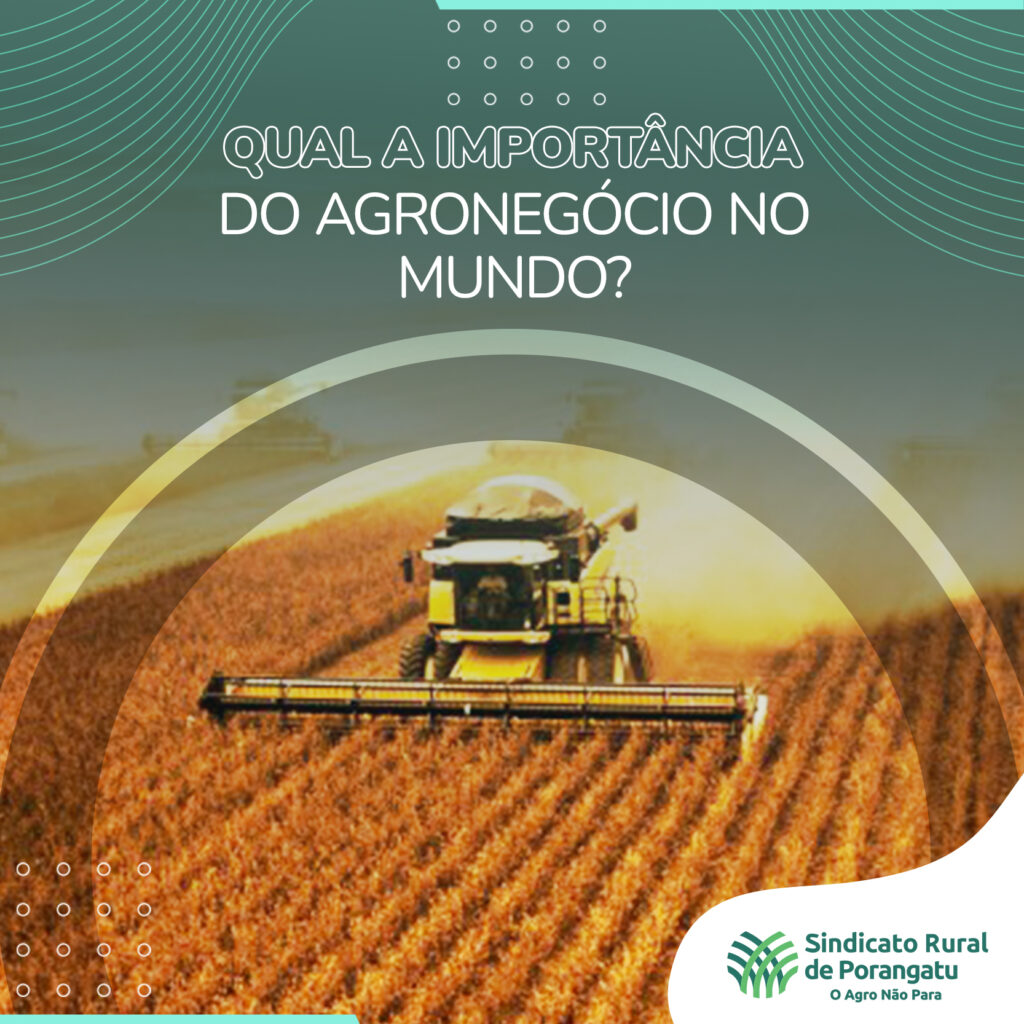 Agronegócio brasileiro continua em crescimento ganhando espaço no mercado financeiro.