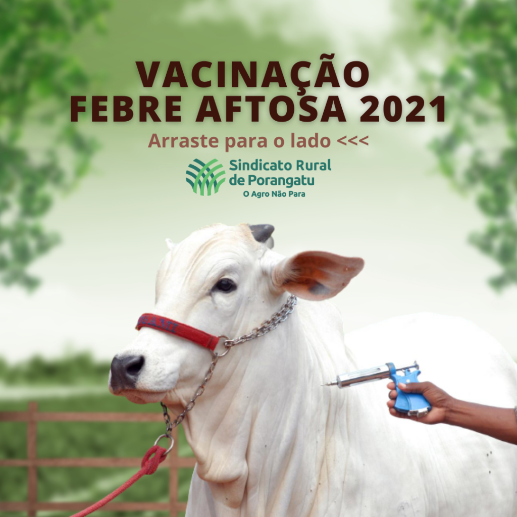 Vacinação Febre Aftosa 2021